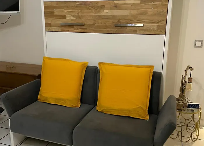 Chaleureux Meublé 3 étoiles 40m2 *